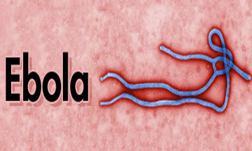 کشف راز بیماری هولناک ابولا