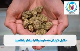 علل اعتیاد جوانان به ماریجوانا